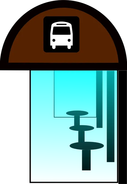 Wynajem busów Włocławek